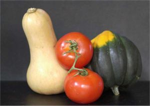 Two Squashes Two Tomatoes (c) Alvy Ray Smith