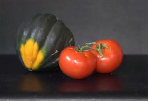 Acorn Squash Two Tomatoes (c) Alvy Ray Smith