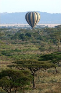 Balloon Before Landing Vertical (c) Alvy Ray Smith